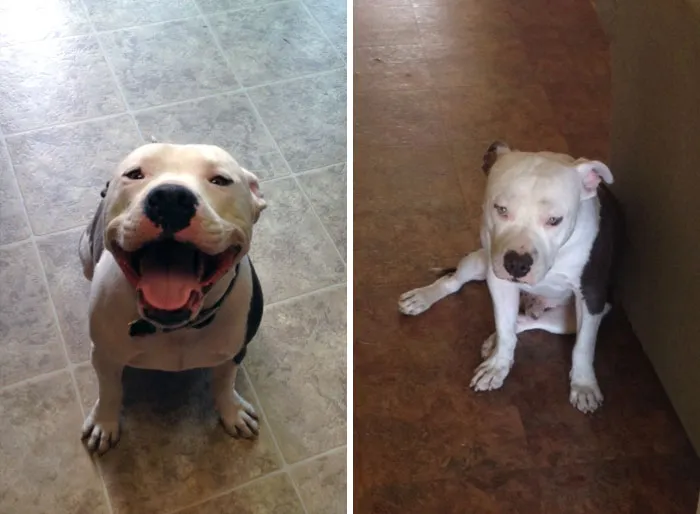 Coming Home vs. Leaving