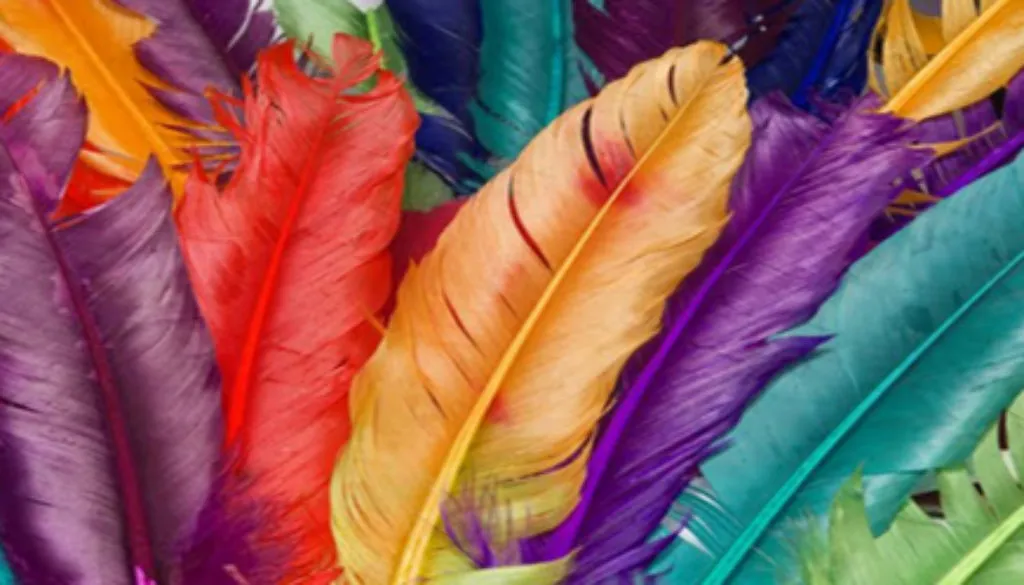 In The World Of Colors