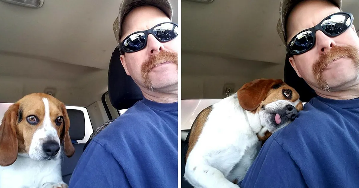 Este hombre rescató a un Beagle de ser sacrificado en un refugio, y el perro, agradecido, le dio un abrazo
