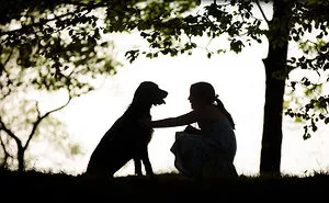 Here Are 30 Best Dog Photos Of The Year 2019 And They Are Pawsome