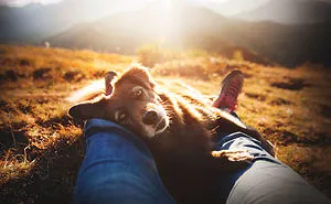Here Are 30 Best Dog Photos Of The Year 2019 And They Are Pawsome