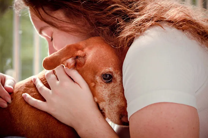 Rescue Dogs Charity Category 3rd Place Winner, ‘A Look That Embraces’ By Luciana Veras, Brazil
