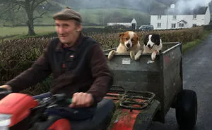 Here Are 30 Best Dog Photos Of The Year 2019 And They Are Pawsome