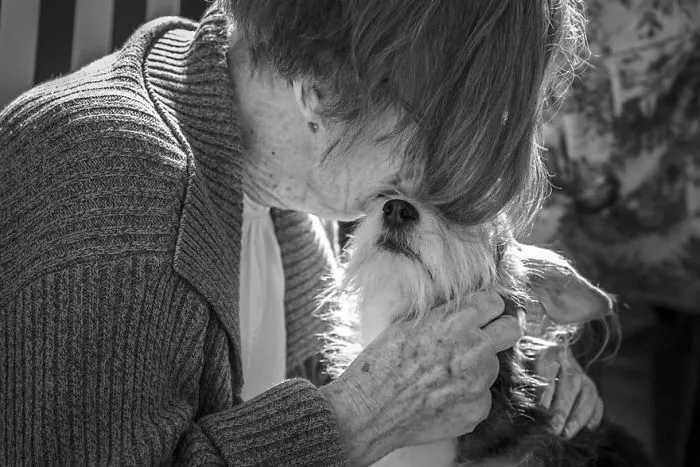 Assistance Dogs Charity Category 1st Place Winner, 'Soul Comforter' By Angelika Elendt, Germany