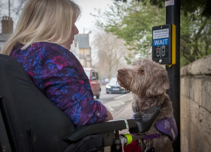 Assistance Dogs Charity Category 3rd Place Winner,  ‘You’re Safe With Me…’ By Melissa Bastin, UK