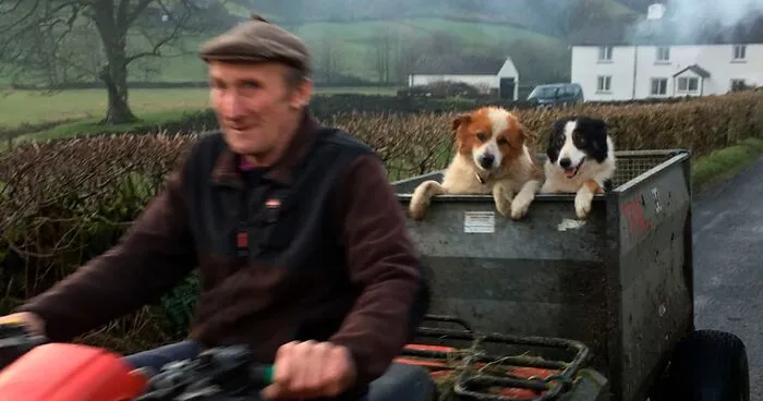 Here Are 30 Best Dog Photos Of The Year 2019 And They Are Pawsome