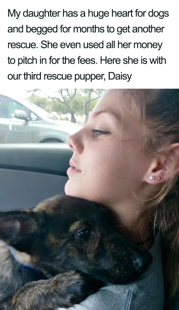 30 Wholesome Dog Posts That Will Hopefully Make Your Day (New Pics)
