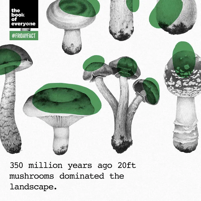 Interesting And Weird Facts About The World You Probably Didn’t Know (30 Pics)