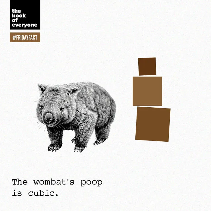 Interesting And Weird Facts About The World You Probably Didn’t Know (30 Pics)