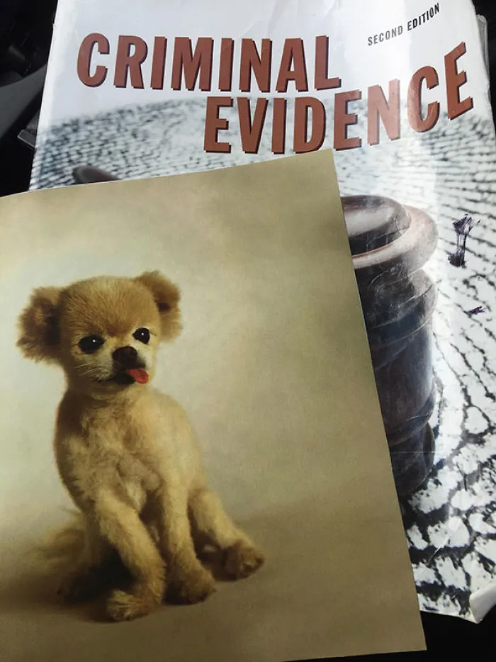 Dentro de un libro de texto de criminología, para animarse un poco supongo