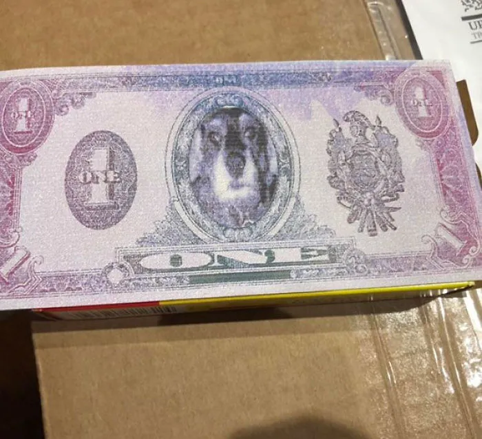 Encontrado dentro de "Moby Dick"