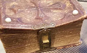 30 Times People Shared Their Weirdest Secondhand Finds