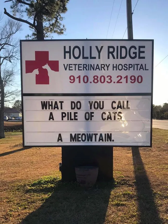 Vet clinic sign with a funny cat joke about a pile of cats called a meowtain, showcasing cat jokes vet clinics use.