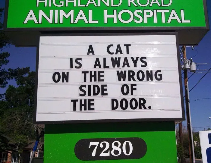 Well, that escalated quickly