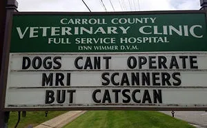30 Of The Funniest Cat Jokes Vet Clinics Put Up On Their Signs