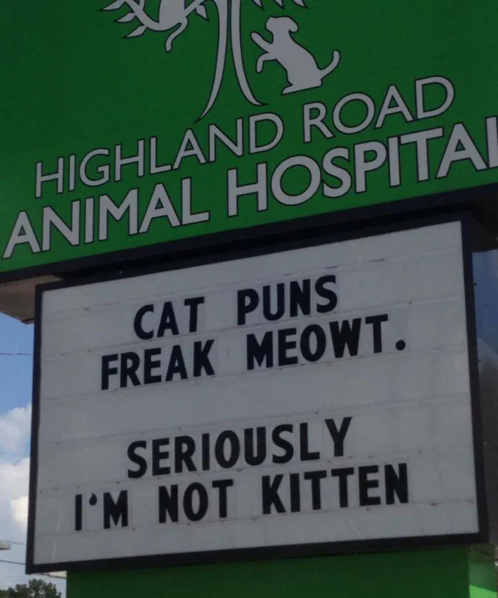 Well, that escalated quickly