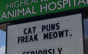 30 Of The Funniest Cat Jokes Vet Clinics Put Up On Their Signs