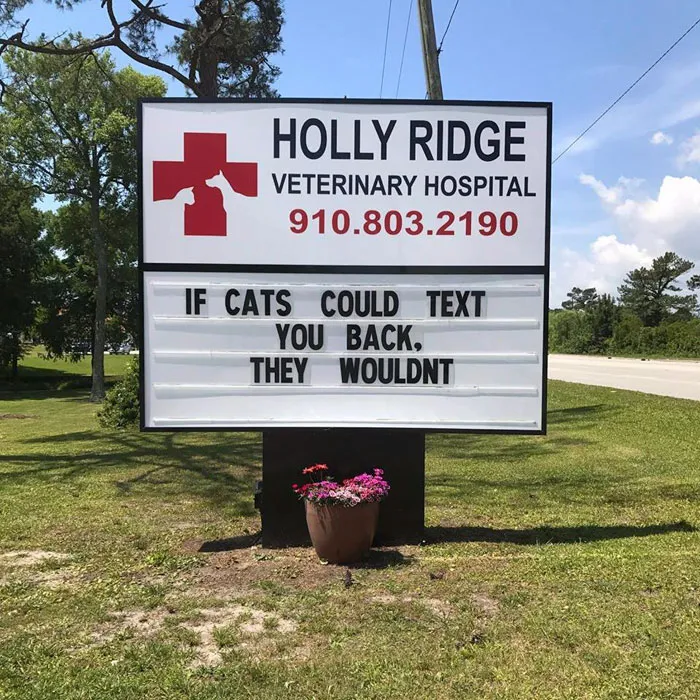 Low-Key Genius Move