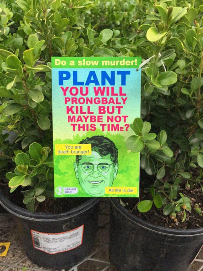 'Obvious Plant' Leaves Hilarious Fake Products In Real Stores