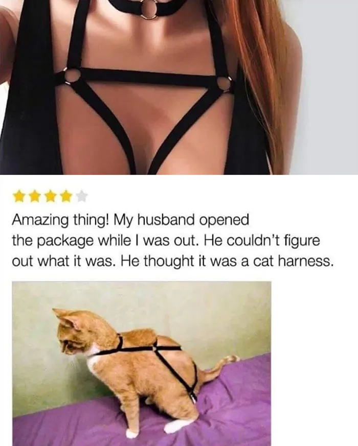 This Review