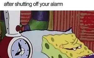 96 Of The Funniest Sleeping Memes Ever