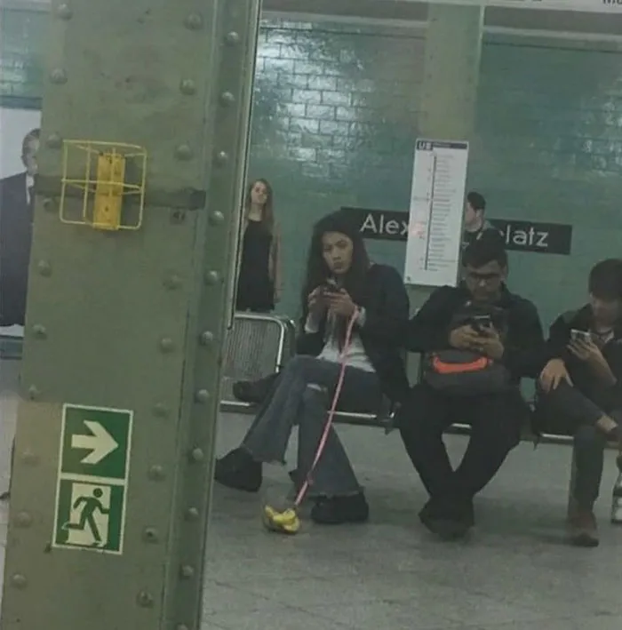 Se permiten los plátanos mascota en el metro mientras vayan con correa