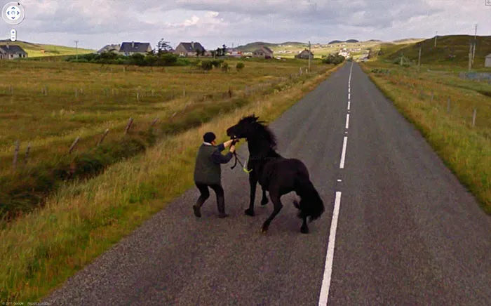 30 Best Accidentally Taken Animal Pics By Google Street View