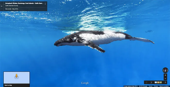 30 Fotos accidentales de animales que salen en Google Street View