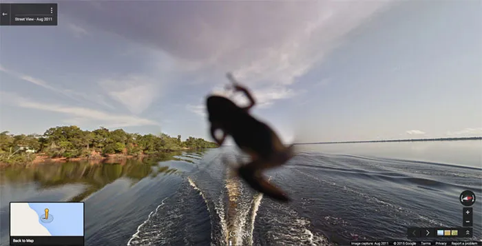30 Best Accidentally Taken Animal Pics By Google Street View
