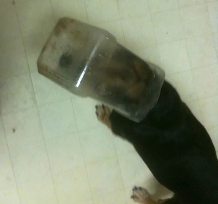 She Only Wanted A Little Chex Mix!