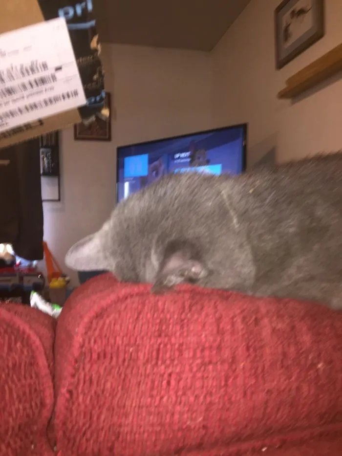 He’s Been Sleeping This Way For A Hour Now
