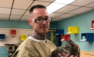 Prison In Indiana Accepts Shelter Cats And They Change Prisoners