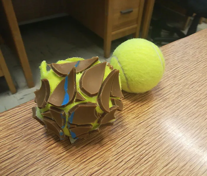 El interior de una pelota de tenis parece delicioso