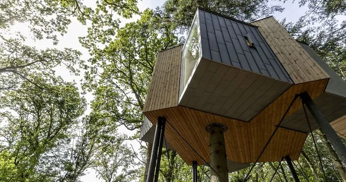 This Hotel In Denmark Is The Ultimate Tree House For Adults