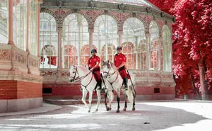 My 22 Pics Of Madrid That I Captured Using Infrared Photography