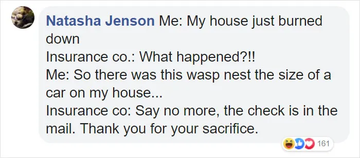 Wasps Are Building Massive "Super Nests" In Alabama And People Are Frightened