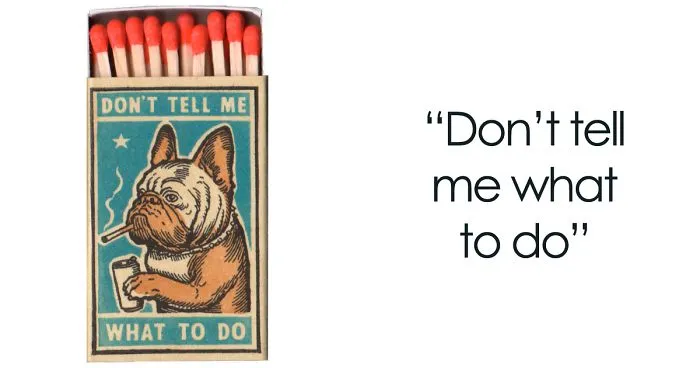I Created Matchboxes Featuring Different Dog Breeds With Complicated Human Personalities