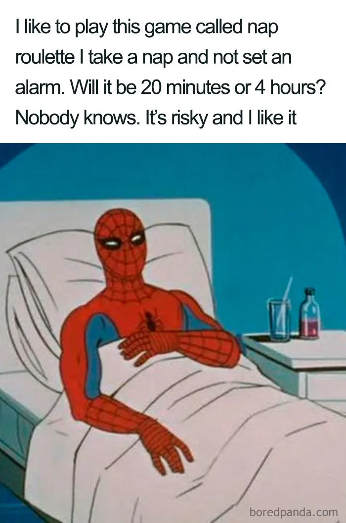 Nap Time or Mystery
