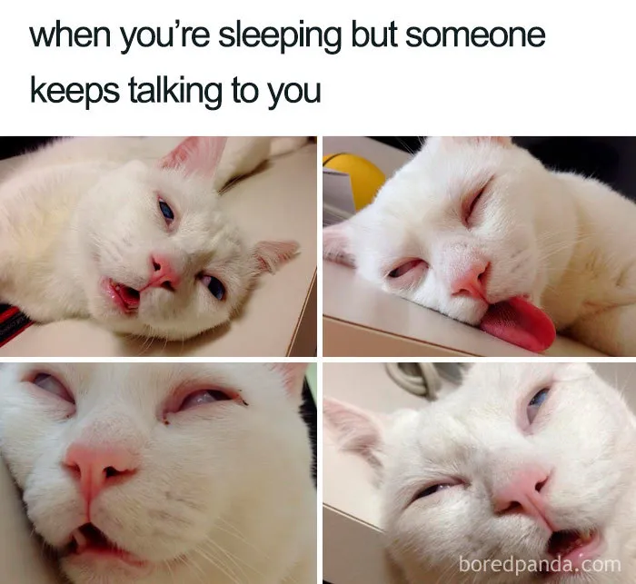 Not Today, Human