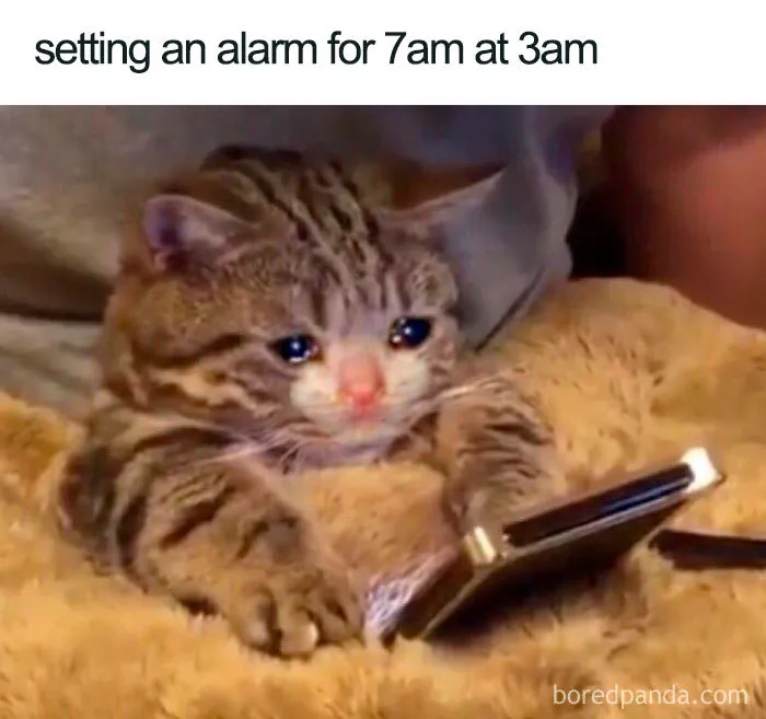 Wide Awake Regrets