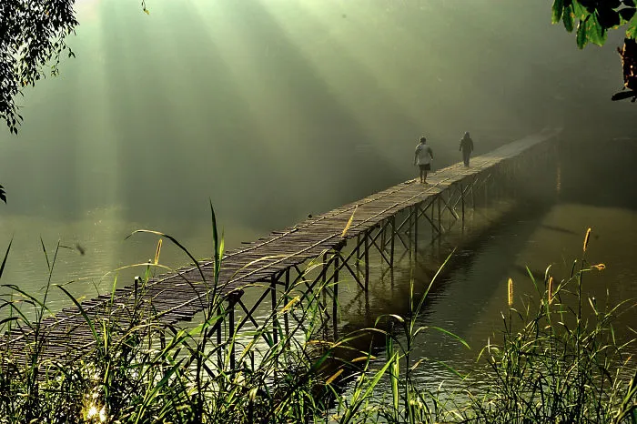 Misty Morning