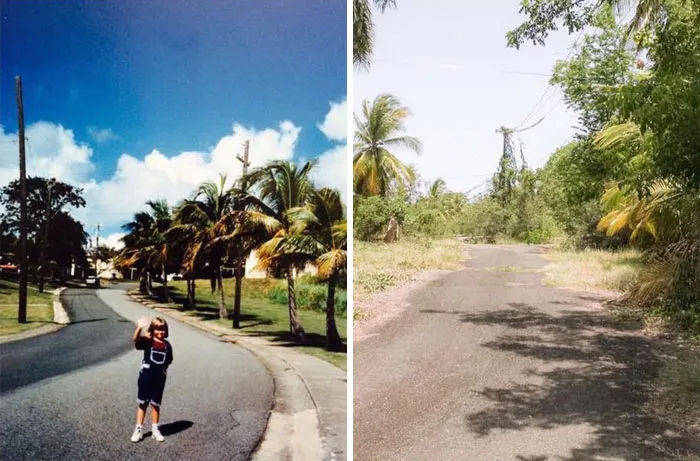 I Grew Up On The Puerto Rico Navy Base Which Closed In 2004. It’s Now Overgrown And Taken Over By Nature
