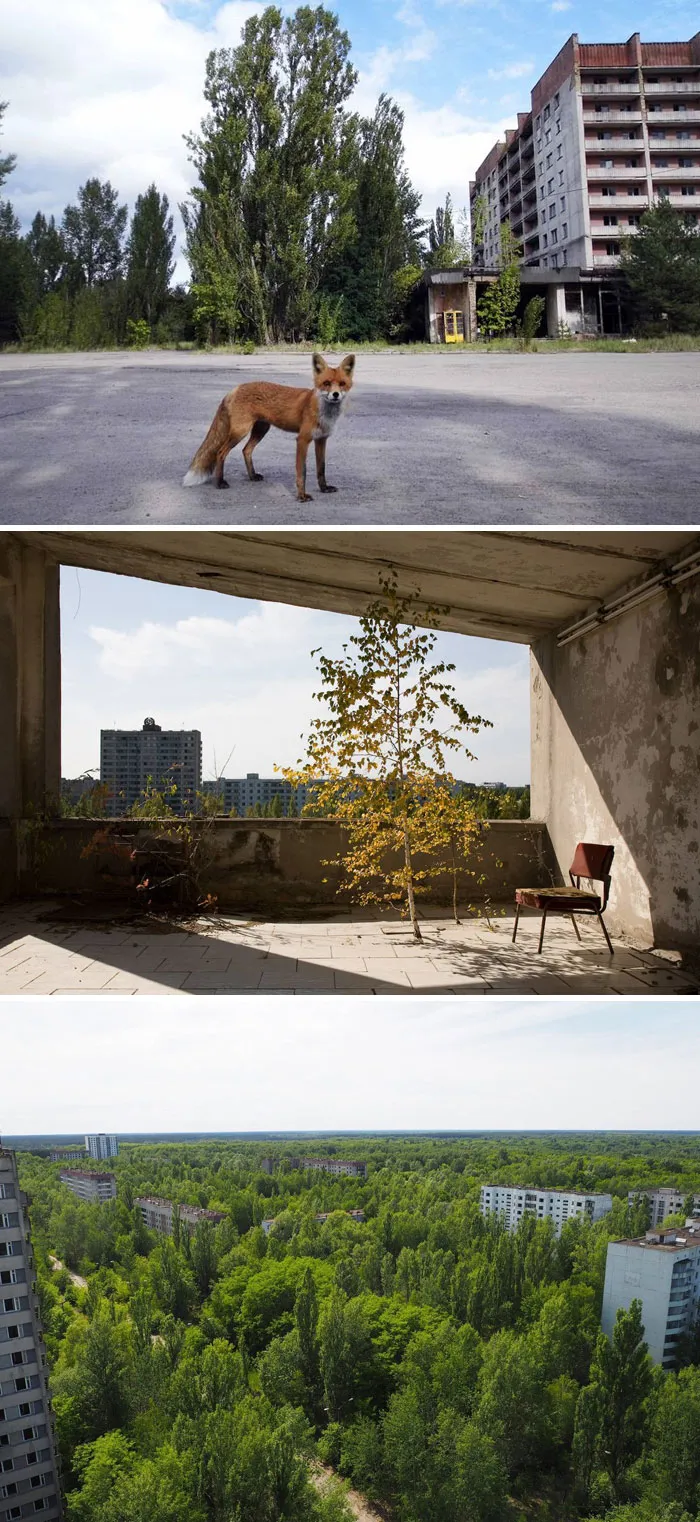 Zona de exclusión alrededor de Chernobyl