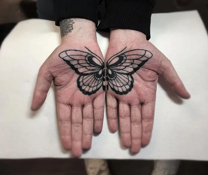 Another Pair Of Butterfly Palms From Last Week