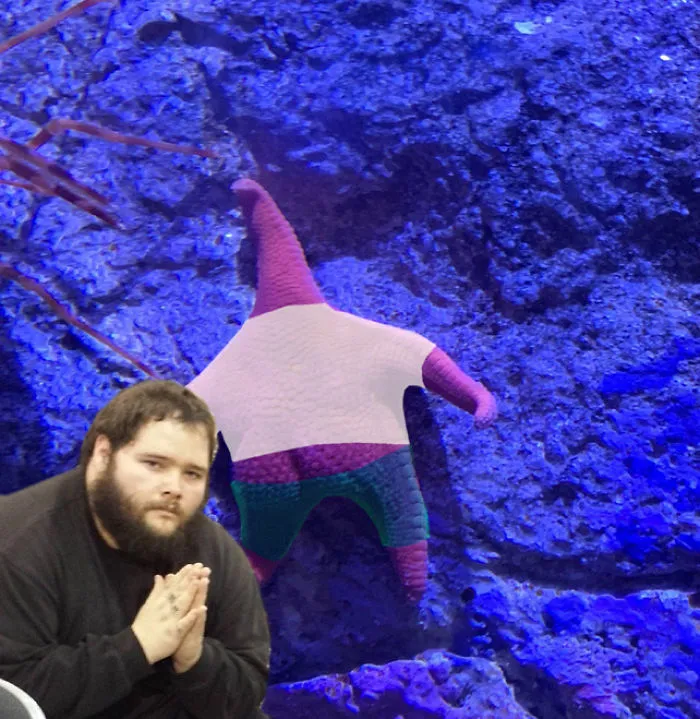 Someone Finds A Patrick-Lookalike Starfish At An Aquarium, Inspires A Funny PS Battle (20 Pics)