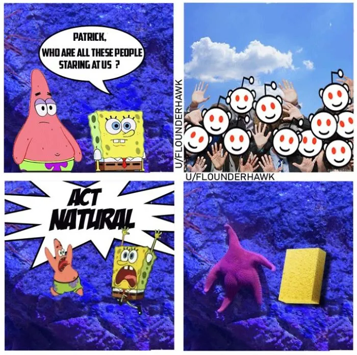 Someone Finds A Patrick-Lookalike Starfish At An Aquarium, Inspires A Funny PS Battle (20 Pics)