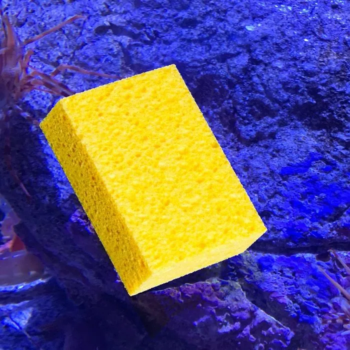 Someone Finds A Patrick-Lookalike Starfish At An Aquarium, Inspires A Funny PS Battle (20 Pics)