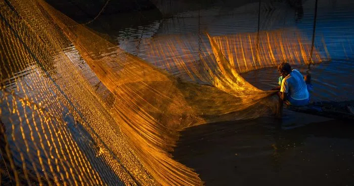 We Invited Photographers From Around The World To Submit Their Photos That Master The Light, And Here Are The Best 50 Of Them