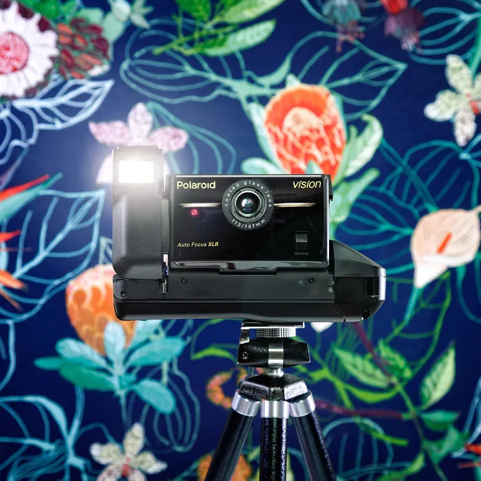 Polaroid Vision