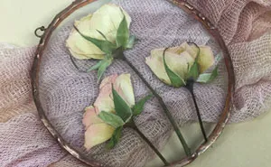 Three Years Ago, I Picked Up A New Hobby Of Making Flower Herbariums And Here Is My Progress So Far (26 Pics)